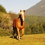 Casa de hóspedes Gaestehaus Brugger 3*