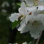 Casa de hóspedes Gaestehaus Brugger 3*