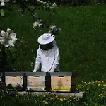 Gaestehaus Brugger 3* Hermagor-Pressegger See