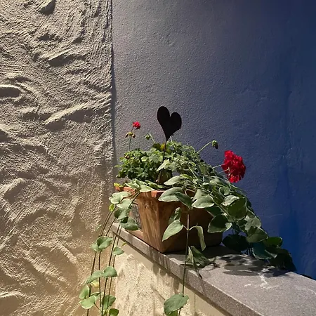 Гостевой дом Gaestehaus Brugger Хермагор