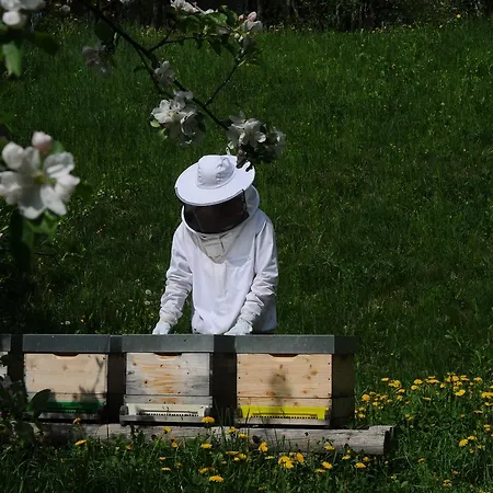 Gaestehaus Brugger 3* Hermagor-Pressegger See