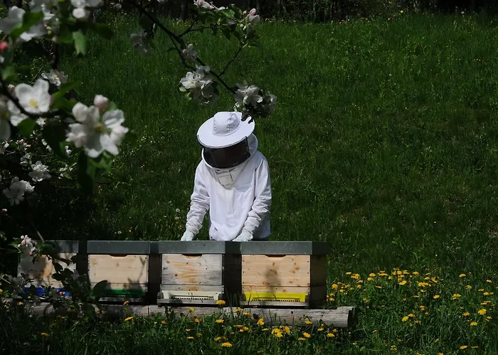 Gaestehaus Brugger 3* Hermagor-Pressegger See